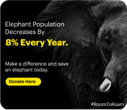 Case Studies Image 2