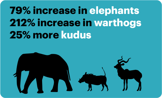 Case Studies Main Image